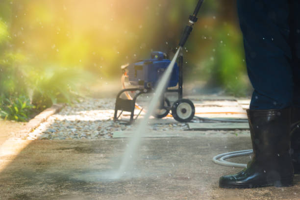 Best Roof Cleaning and Mildew Removal in Homerville, GA